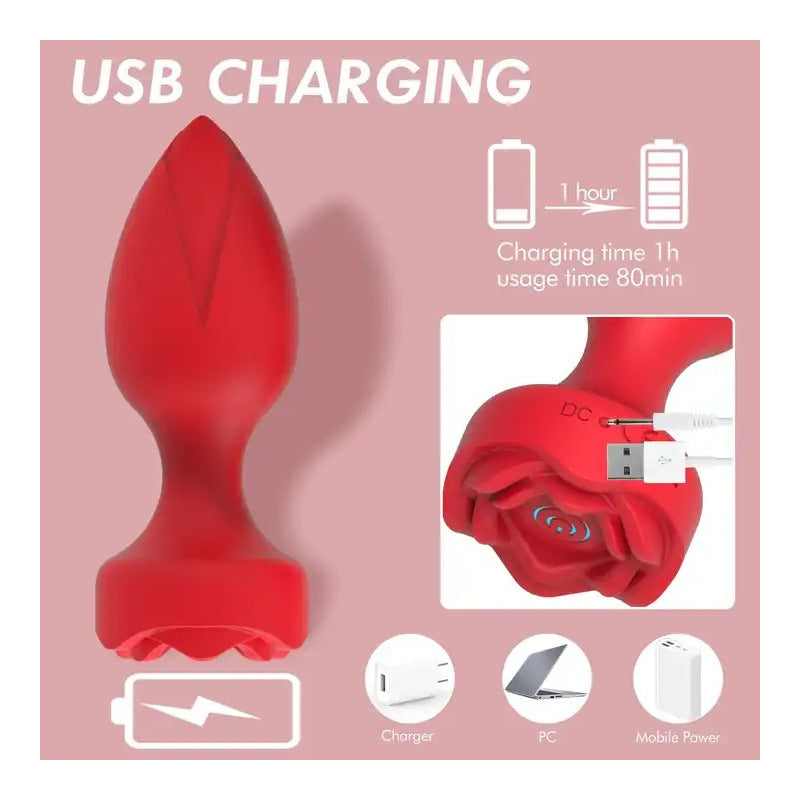 Plug Anal Vibrador Rosa Carga Usb Control Remoto 10 Vibracio